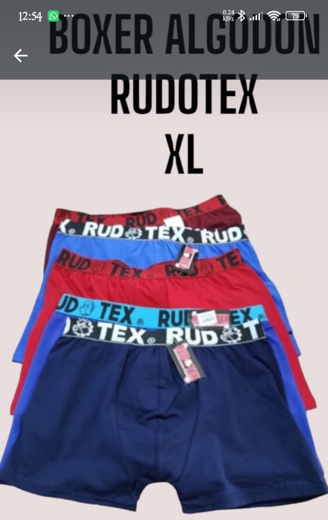 Boxer Rudotex Liso Xl*