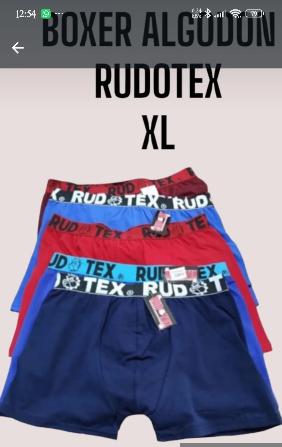 Boxer Rudotex Liso Xl*