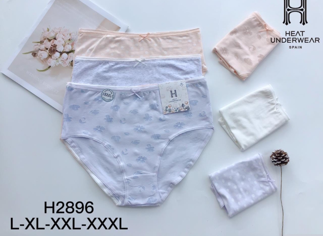 H2896 PANTALETA ALGODON 3X120*