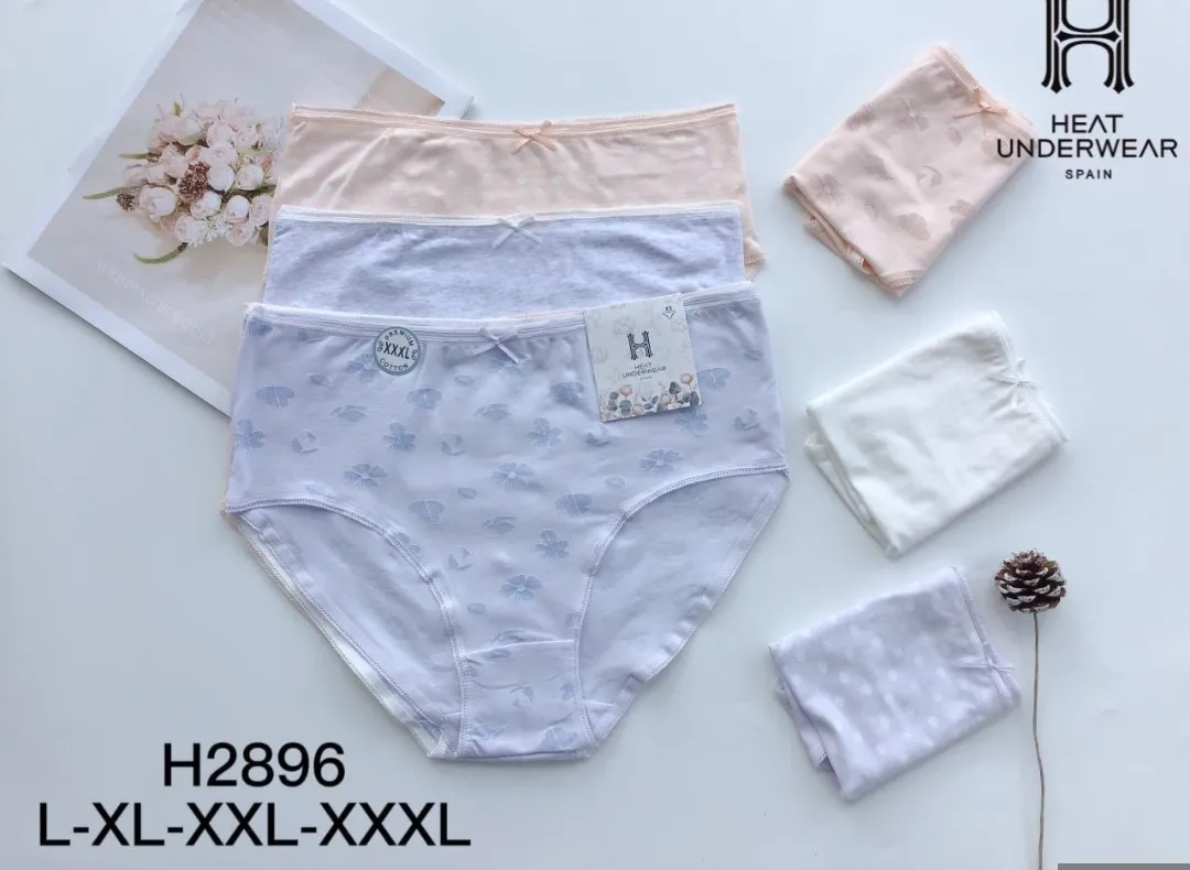 H2896 PANTALETA ALGODON 3X120*