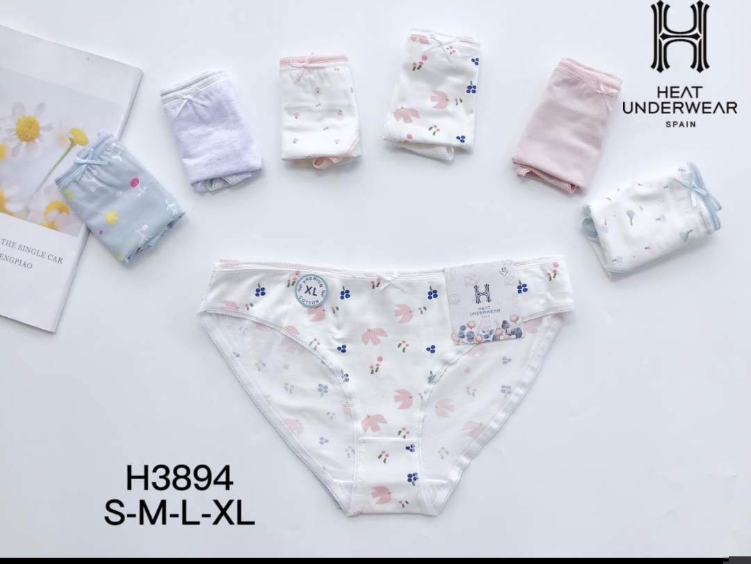 H3894 PANTY ALGODON*