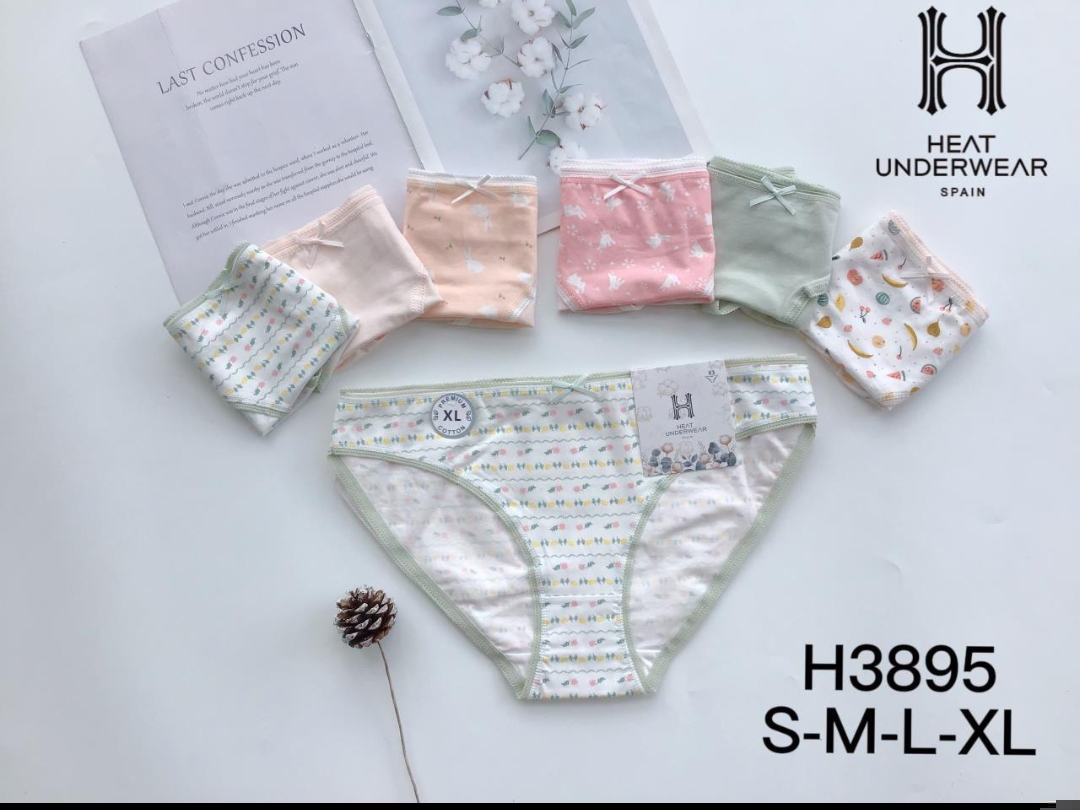 H3895 PANTY DAMA ALGODON*